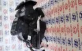 Клапан компресора кондиціонера FORD 1573305