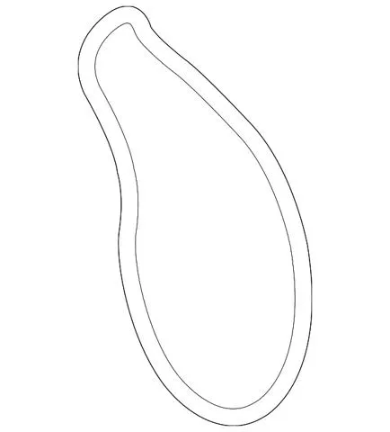 Купити Прокладка водяної помпи Toyota RAV4 IV A4