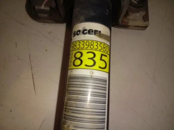  9833983580 Peugeot/Citroen