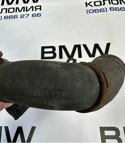  11537615608 BMW