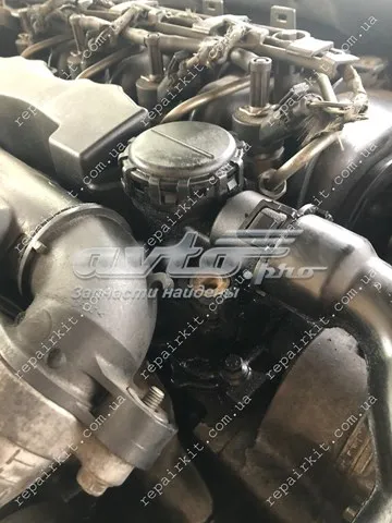  KL31259241 Klifex