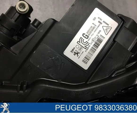 90200109 Peugeot/Citroen