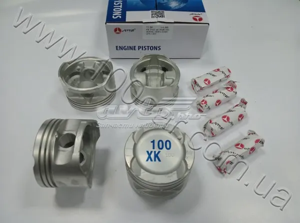  PXDAE4F3548100 AMP/Paradowscy