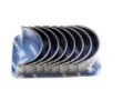  JRONE 1100030036