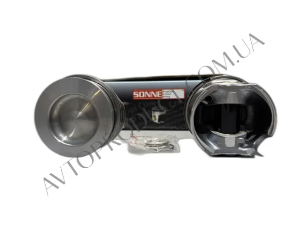  028PI00141002 Mahle Original