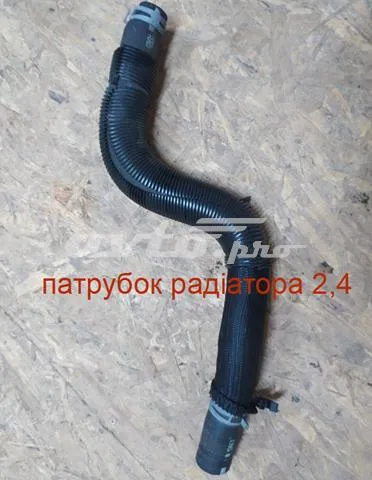 Шланг/патрубок радіатора охолодження, нижній 5058566AI Chrysler