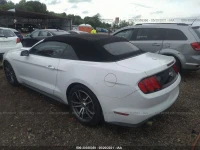 Ford MUSTANG кабріолет (2014 - 2025)  N48H
