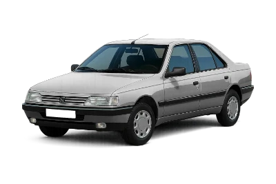 Peugeot 309